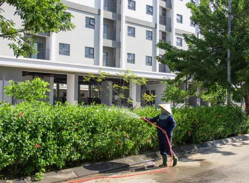 TỈ MỈ HOÀN THIỆN TỪNG MẢNG XANH – W1 TÔ THÊM MÀU XANH MÁT
